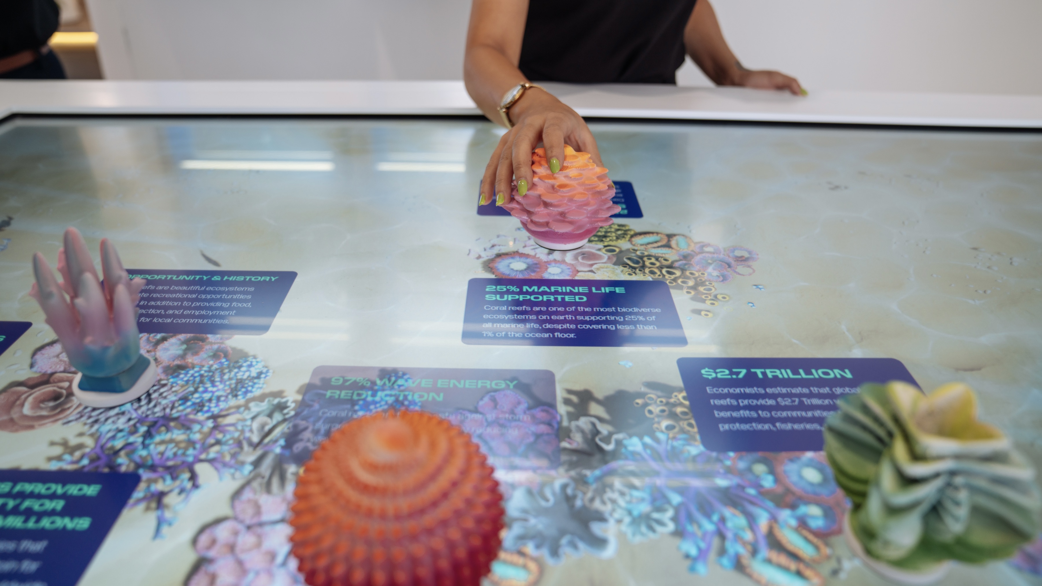 Coral Vita